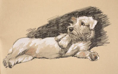 Detalle de terrier, 1930, ilustraciones de su cuaderno de bocetos usado para 